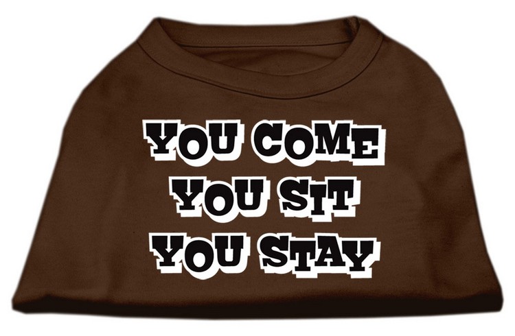 You Come, You Sit, You Stay Screen Print Shirts Brown XXL